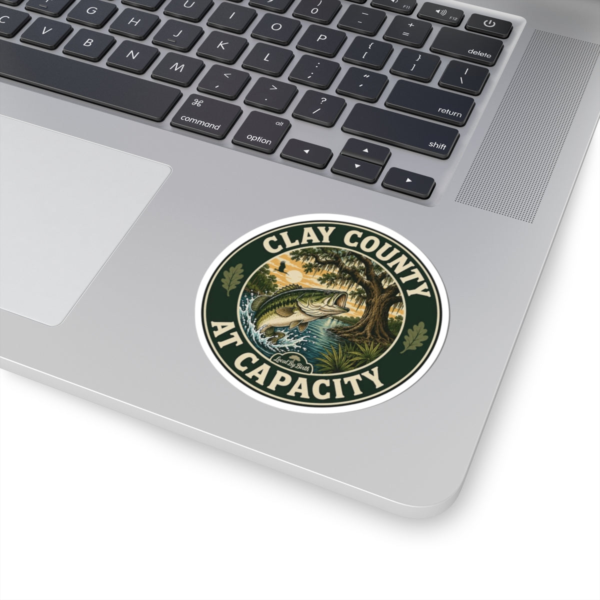Clay County At Capacity Sticker