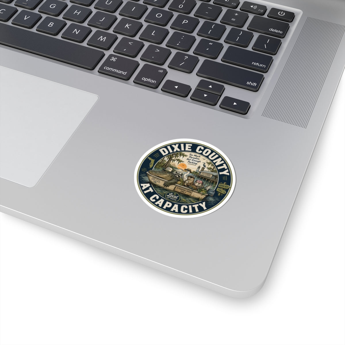 Dixie County At Capacity sticker