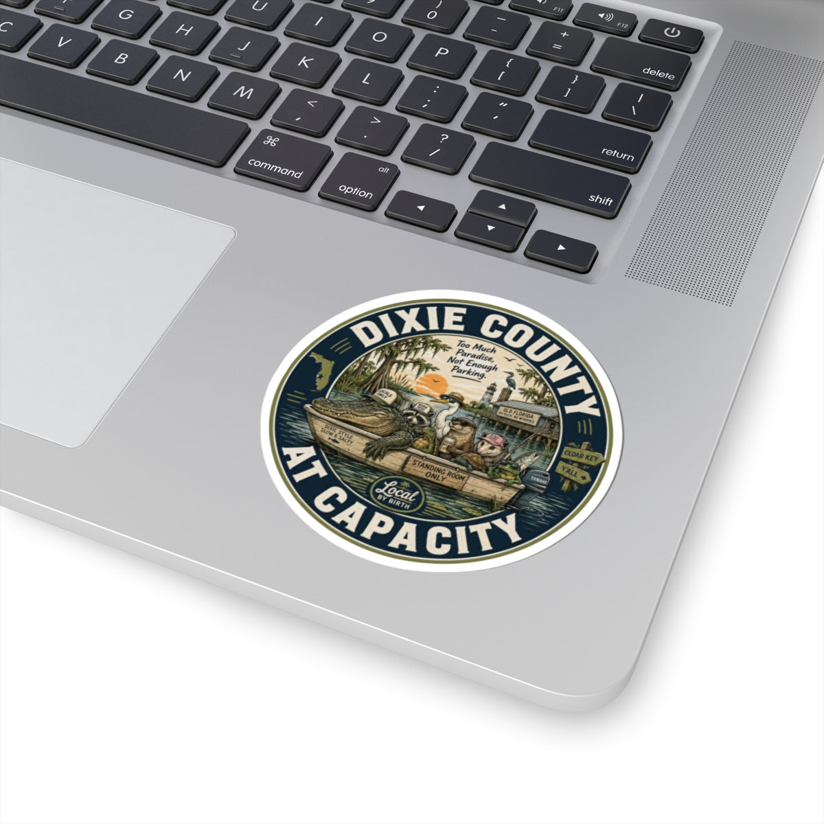 Dixie County At Capacity sticker