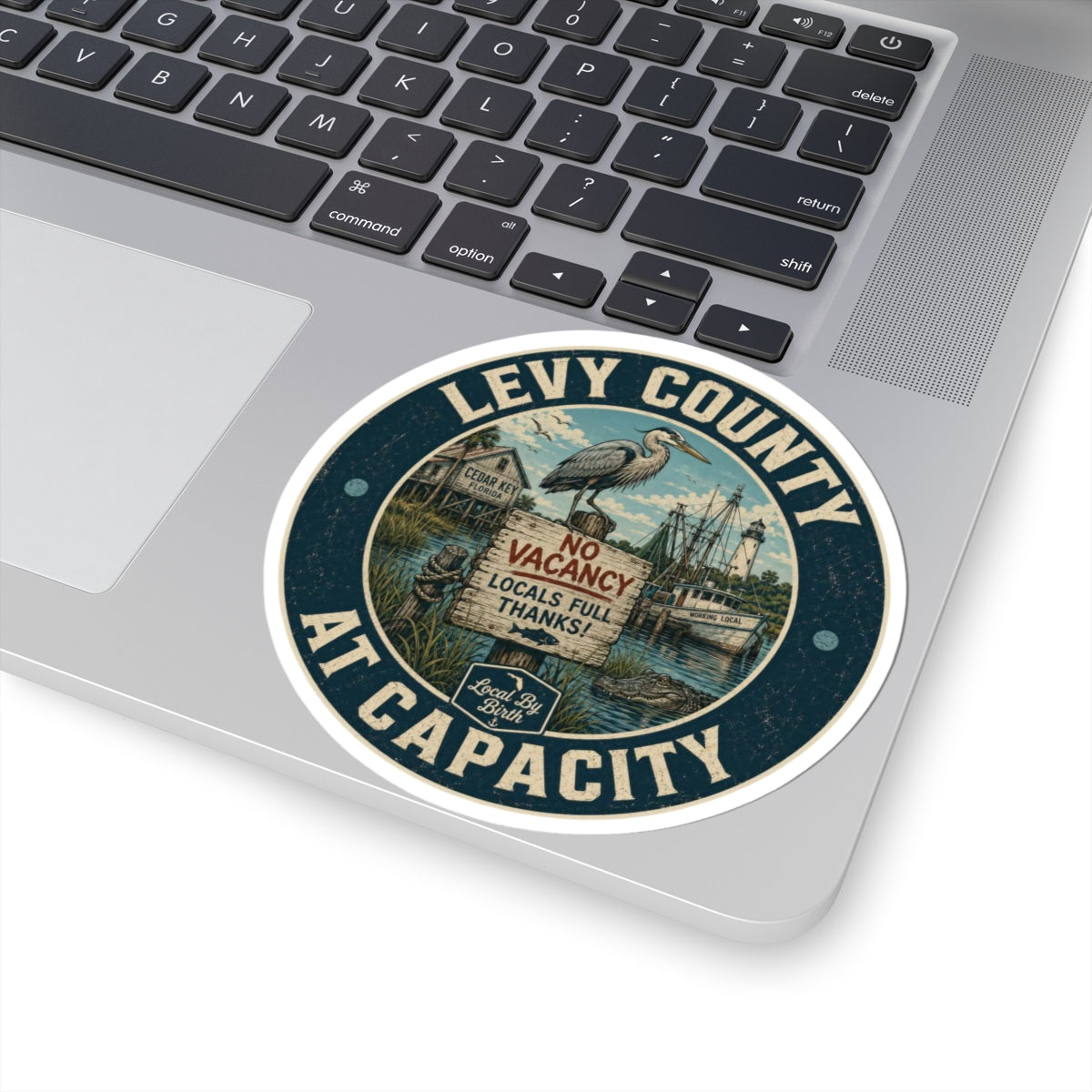 Levy County At Capacity Round Sticker