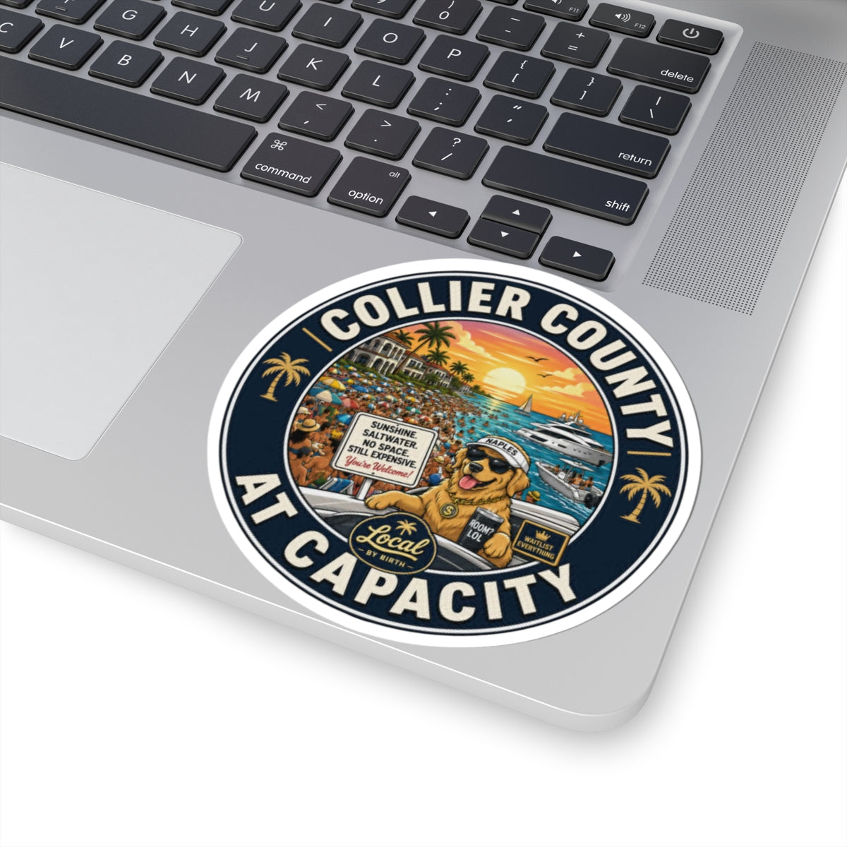 Collier County at Capacity Sticker