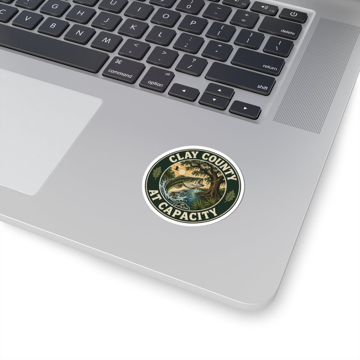 Clay County At Capacity Sticker