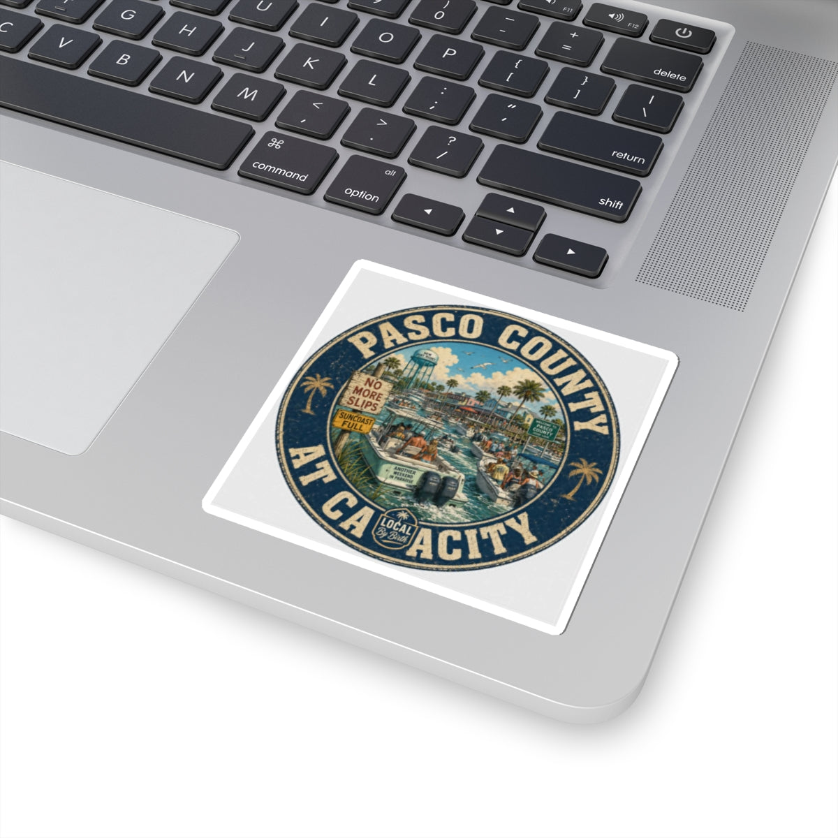 Pasco County at Capacity Sticker