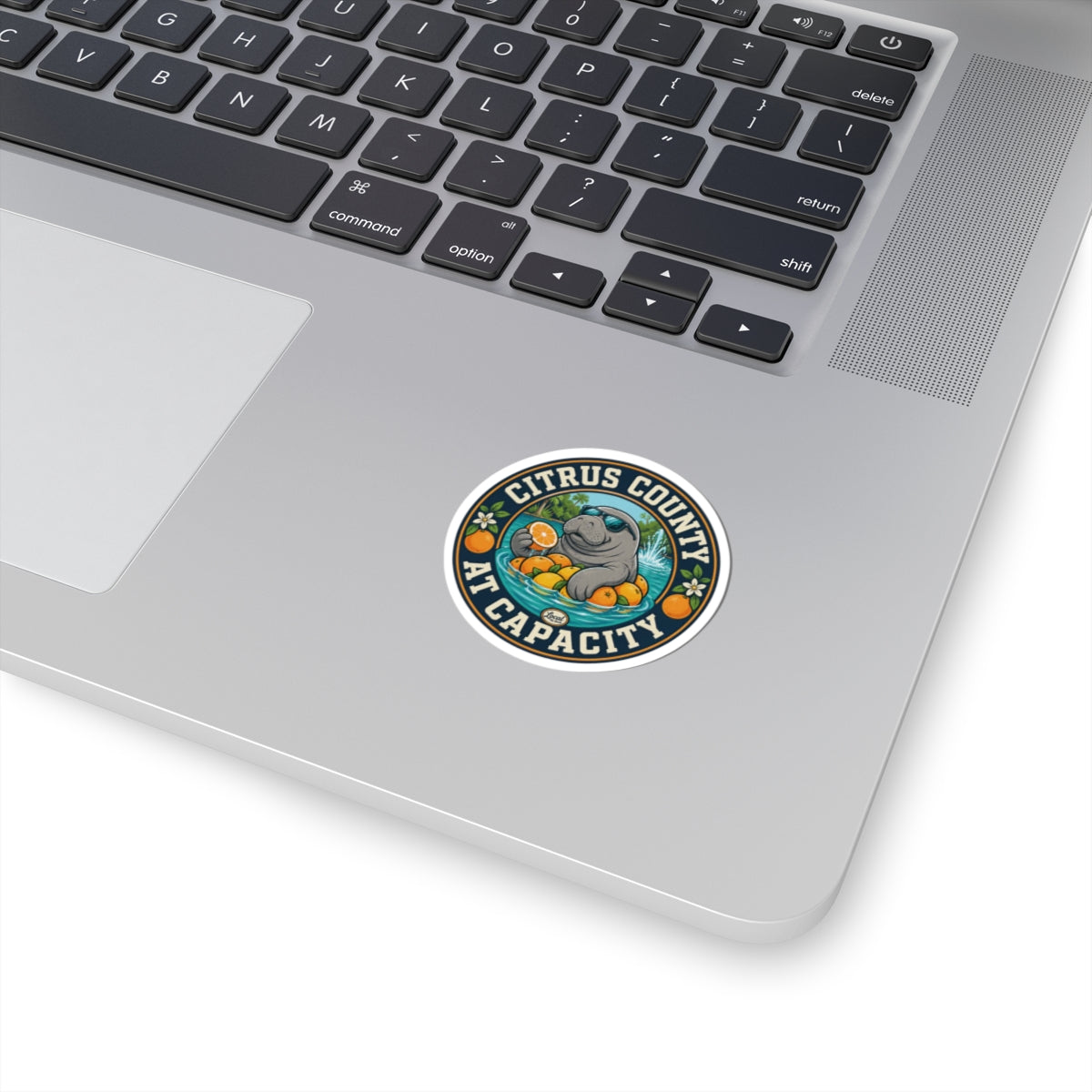 Citrus County at Capacity Sticker