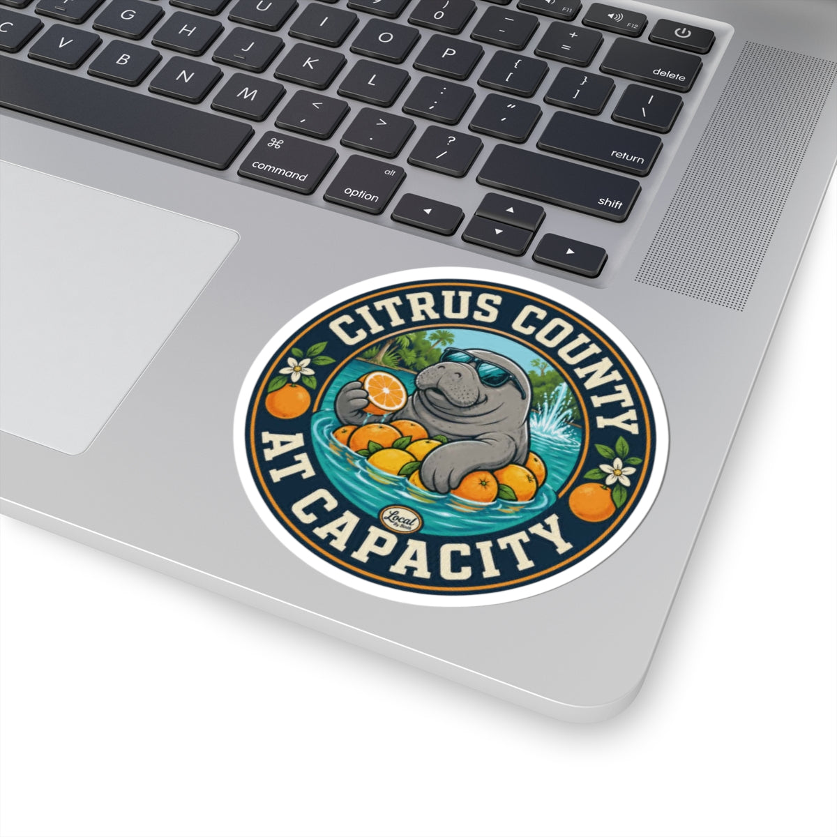 Citrus County at Capacity Sticker