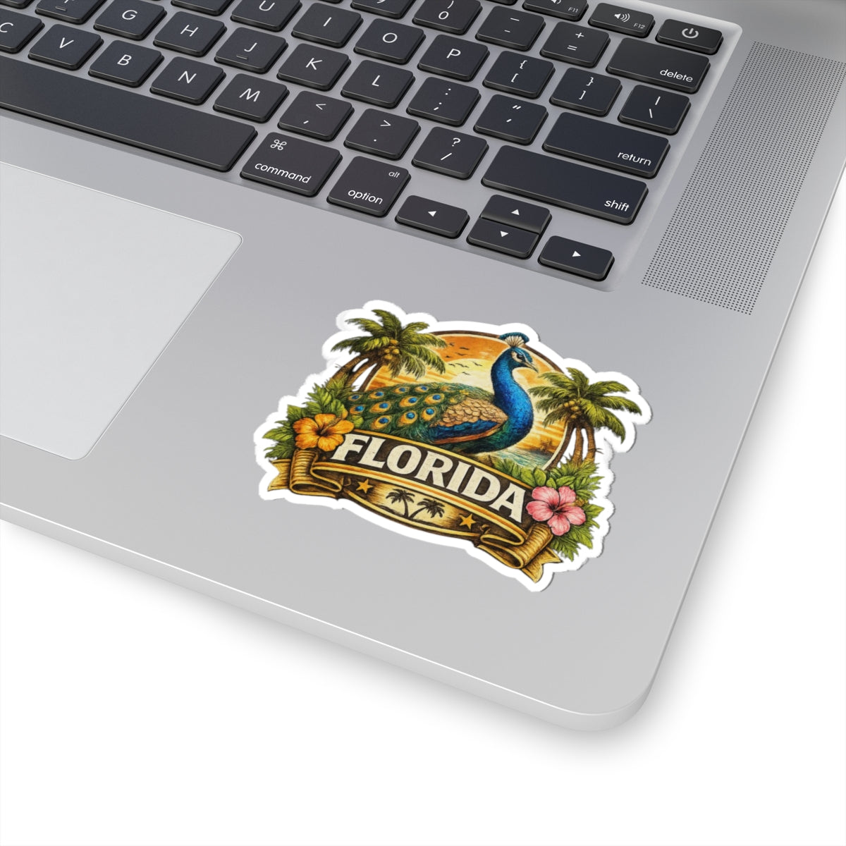 Florida Peacock Vinyl Sticker – Colorful Tropical Decal | Local Pride Merch