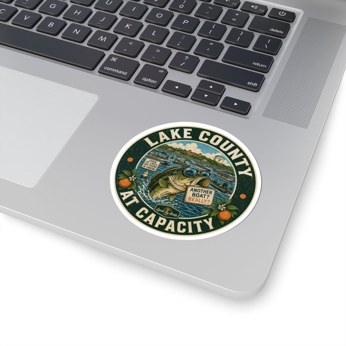 Lake County At Capacity Fishing Sticker