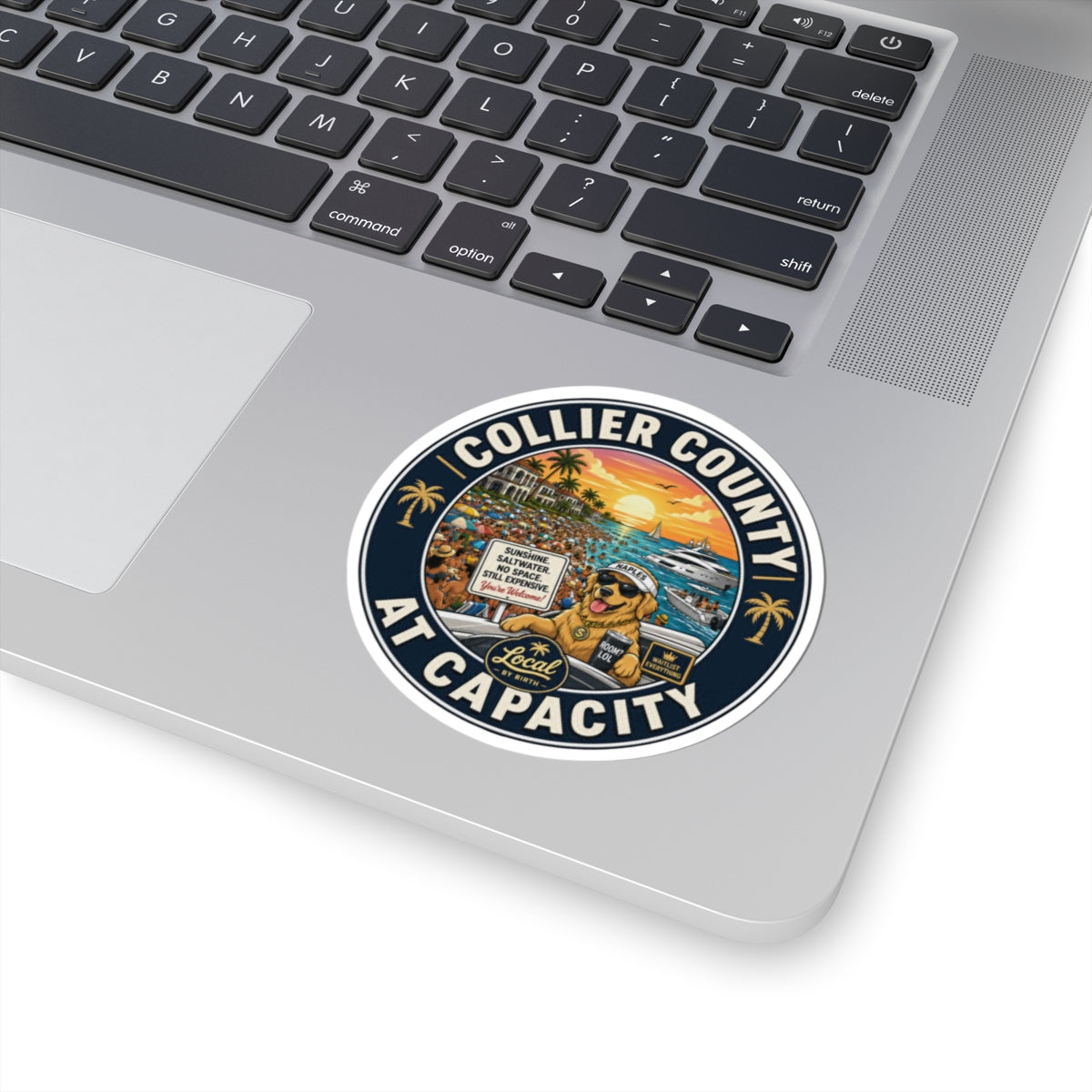 Collier County at Capacity Sticker