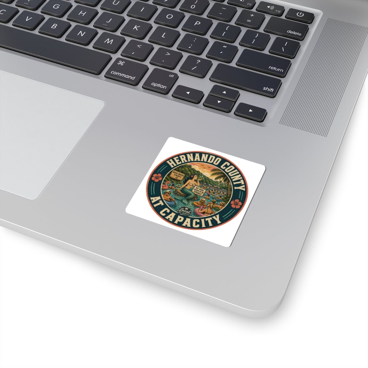Hernando County At Capacity Sticker