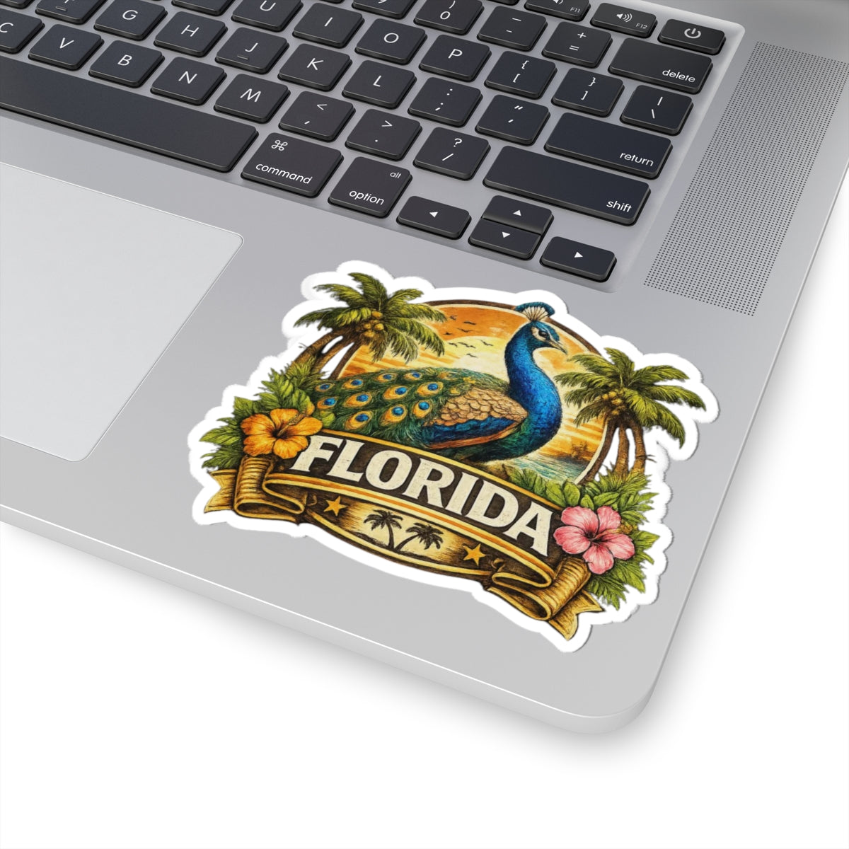 Florida Peacock Vinyl Sticker – Colorful Tropical Decal | Local Pride Merch