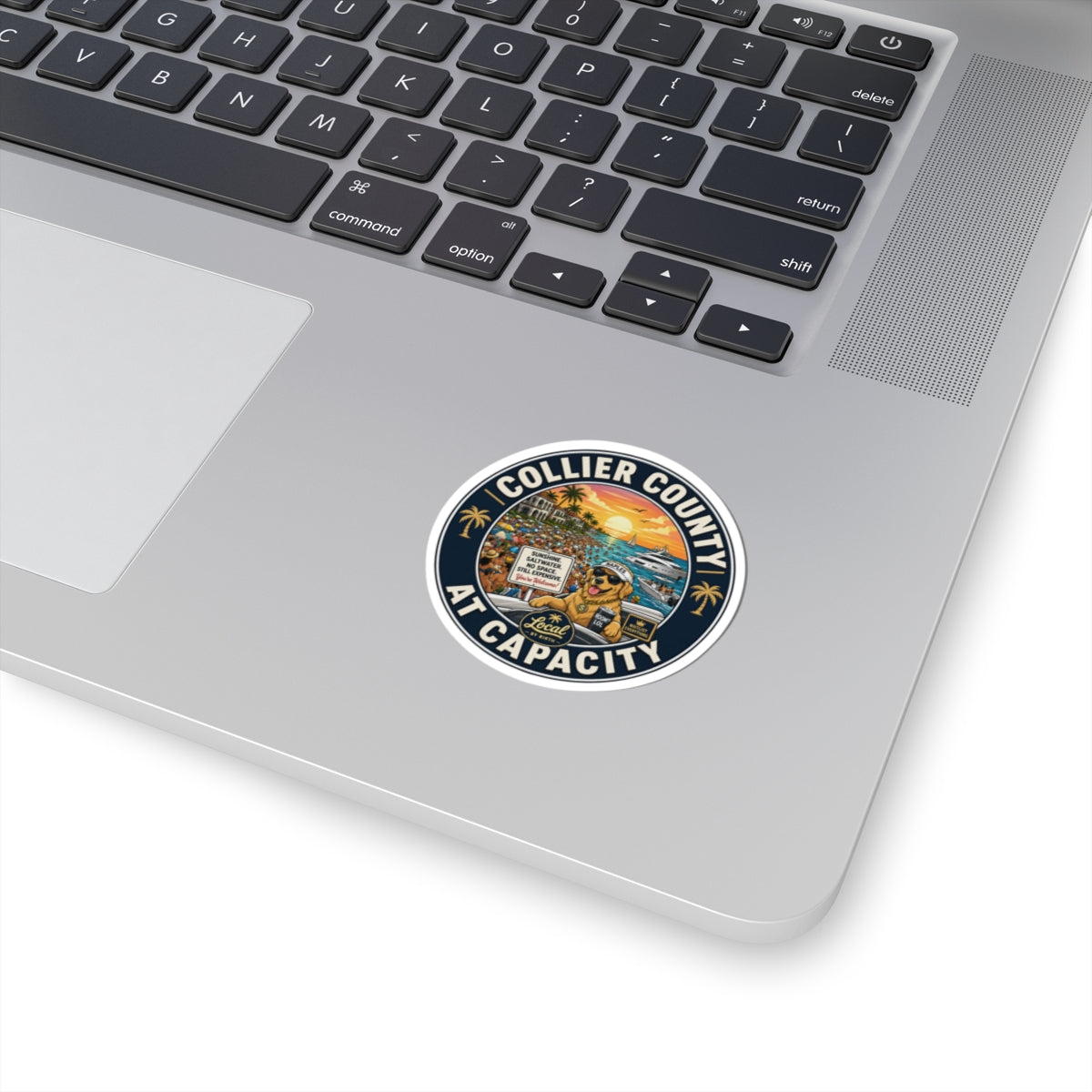 Collier County at Capacity Sticker