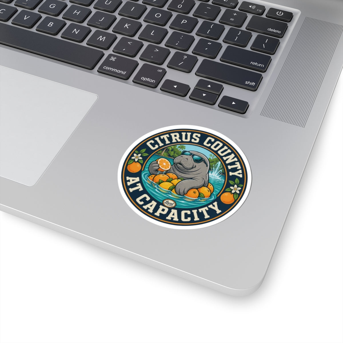 Citrus County at Capacity Sticker