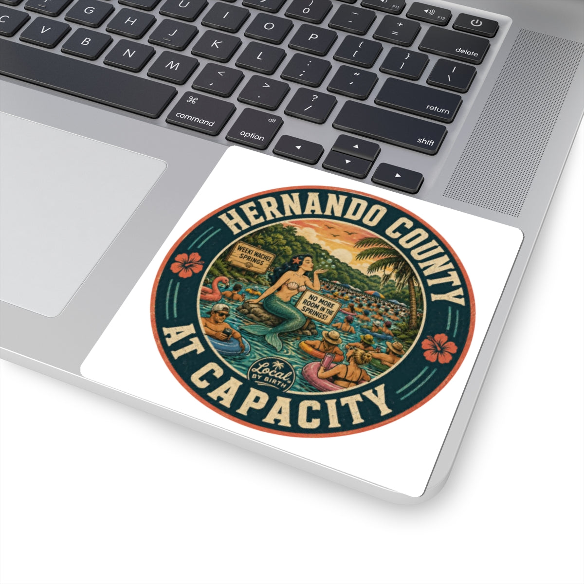 Hernando County At Capacity Sticker