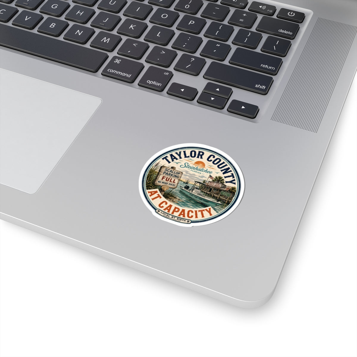 Taylor County "At Capacity" Sticker