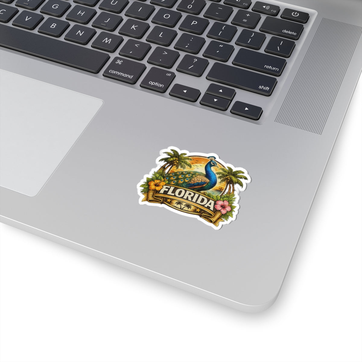 Florida Peacock Vinyl Sticker – Colorful Tropical Decal | Local Pride Merch