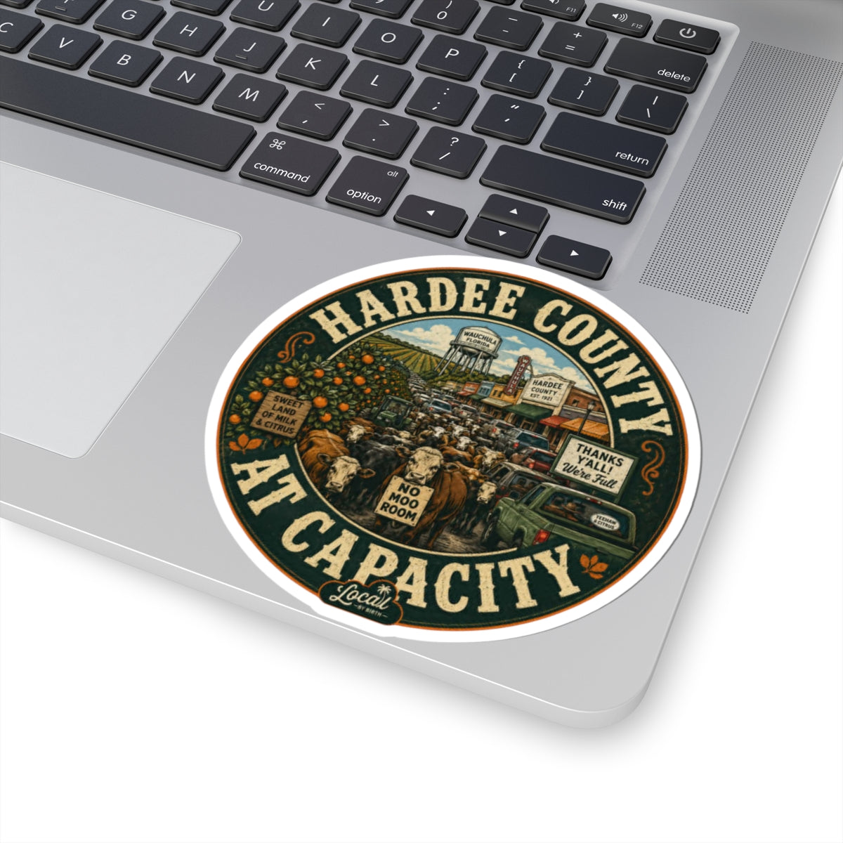 Hardee County At Capacity Sticker