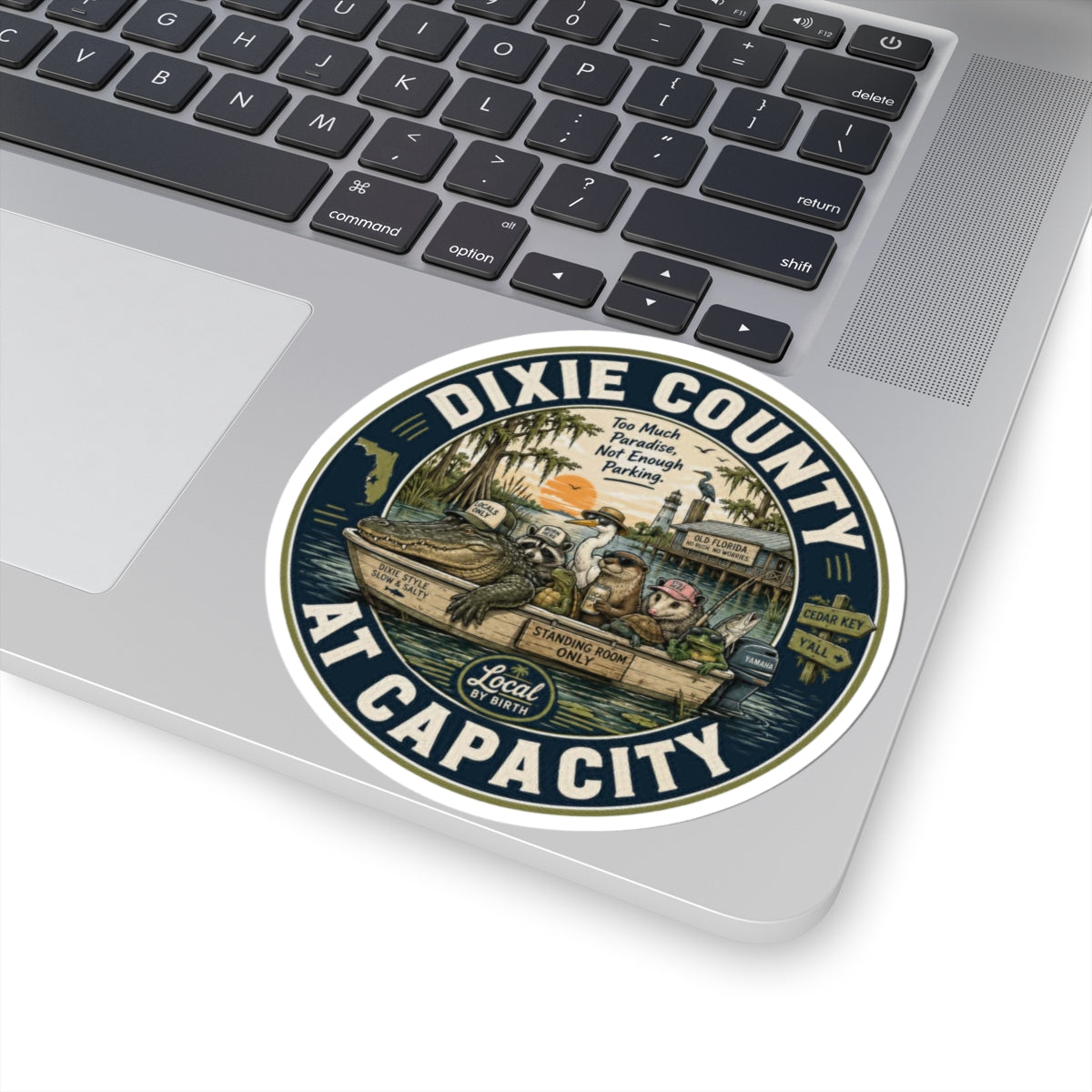 Dixie County At Capacity sticker