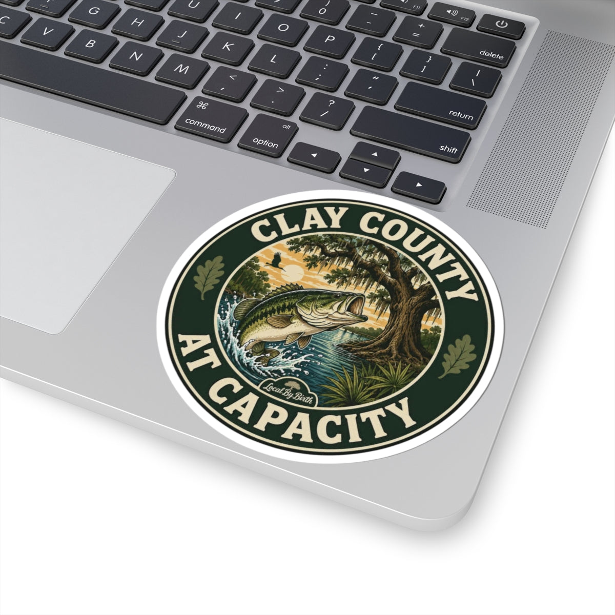 Clay County At Capacity Sticker