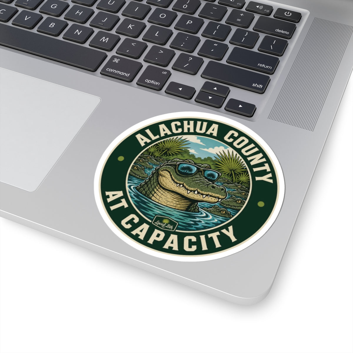 Alachua County At Capacity