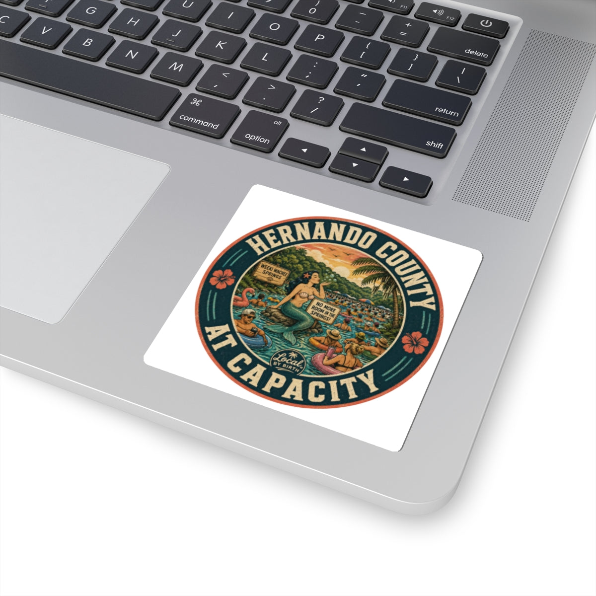 Hernando County At Capacity Sticker